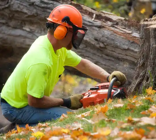 tree services Efland